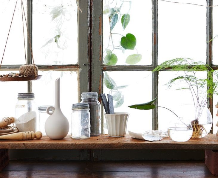 The Essential Tools for a Thriving Indoor Garden