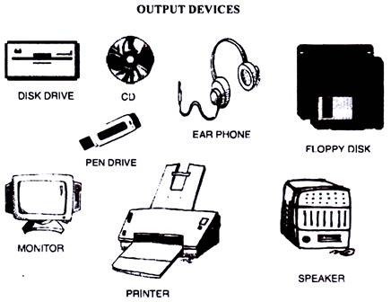 Computer - Input Devices