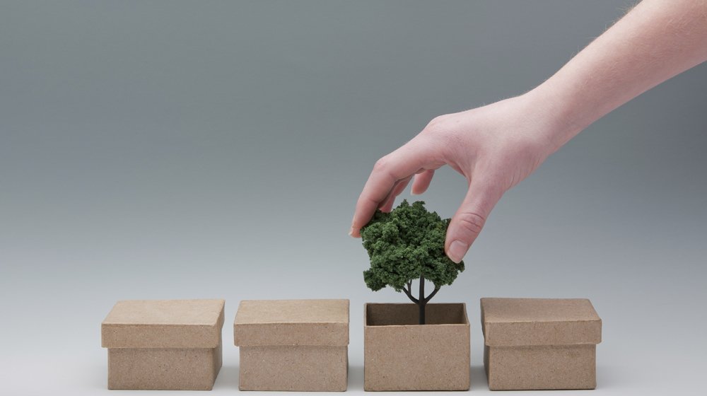 How Sustainable Packaging Can Improve the Environment