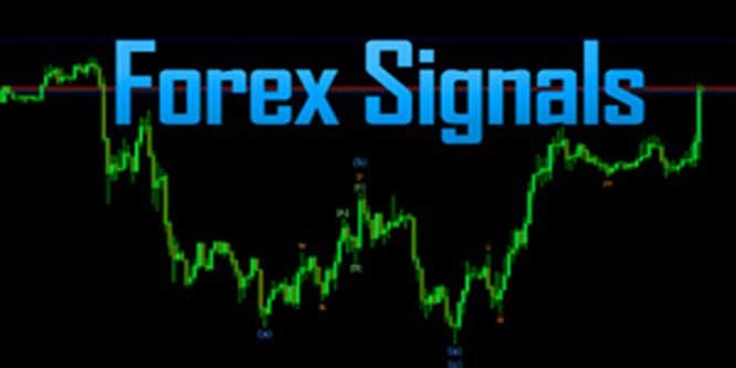 Top 4 Tips To Choose The Best Forex Signal Provider