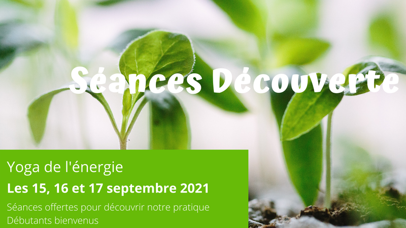 Séance Découverte