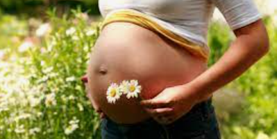שיטות הכנת צמחי מרפא בתקופת היריון, לידה והנקה