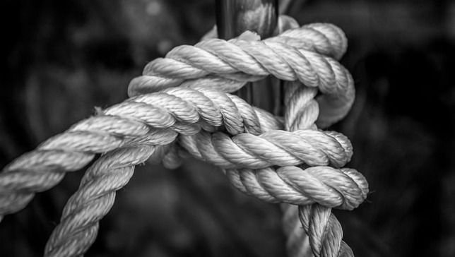 Know the different type of knots for rope access work