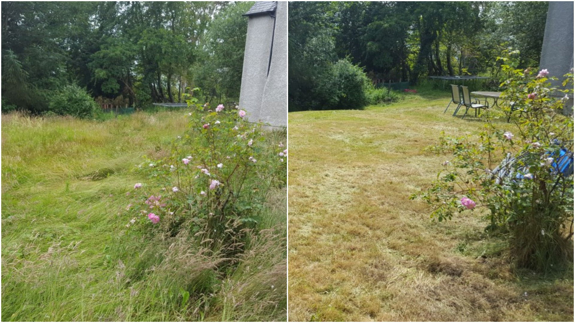 Cut and Clearing Overgrown Garden First Cut Gardening Services