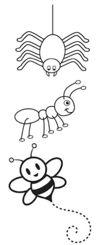 تحريم رسم أشكال تخطيطية للحشرات على السبورة