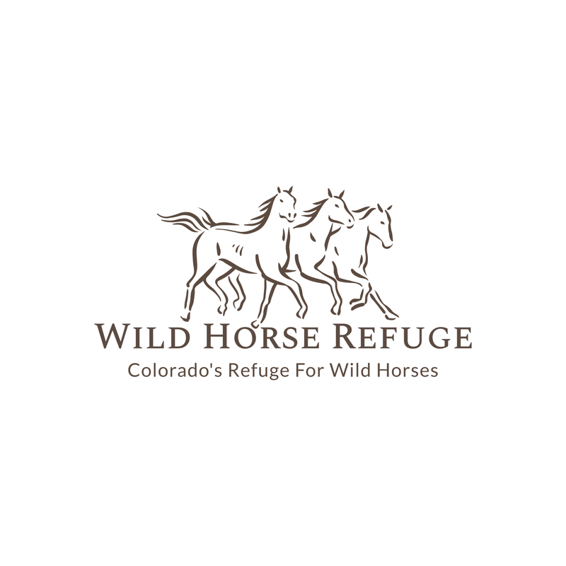 The Wild Horse Refuge