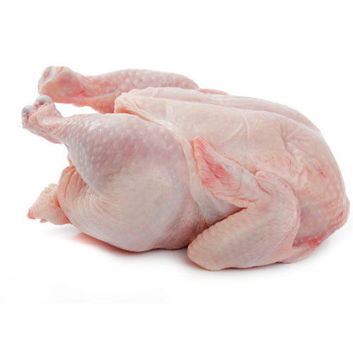 Halal Frozen Whole Chicken  and Chicken Parts and Paws