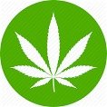 Cannabis, Marijuana and Hemp