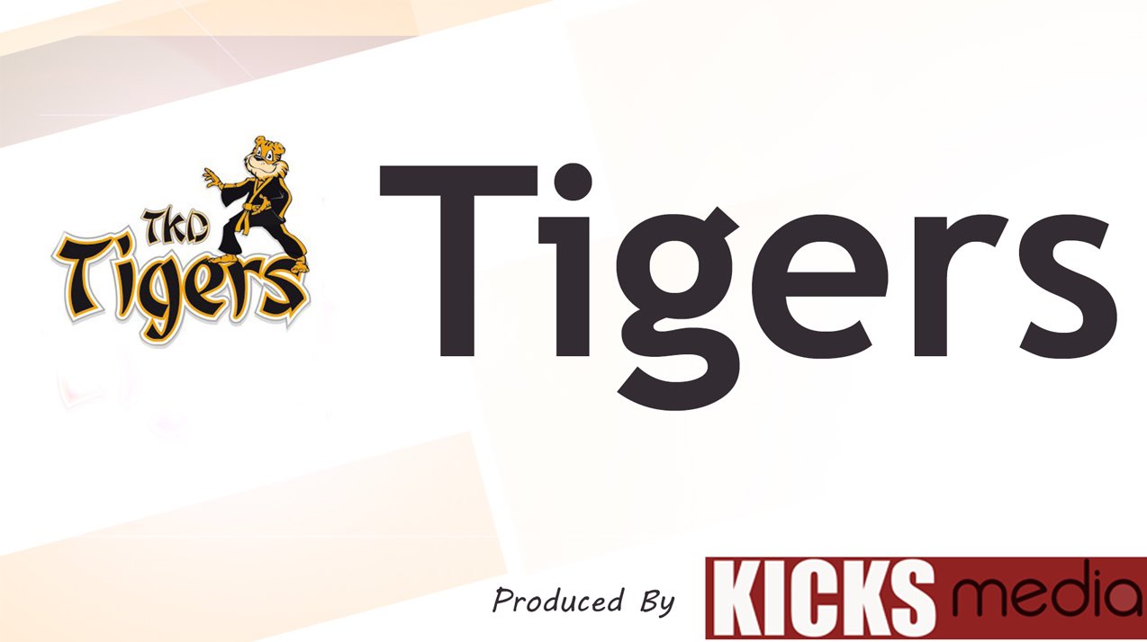 Tigers Life Skills & Martial Arts