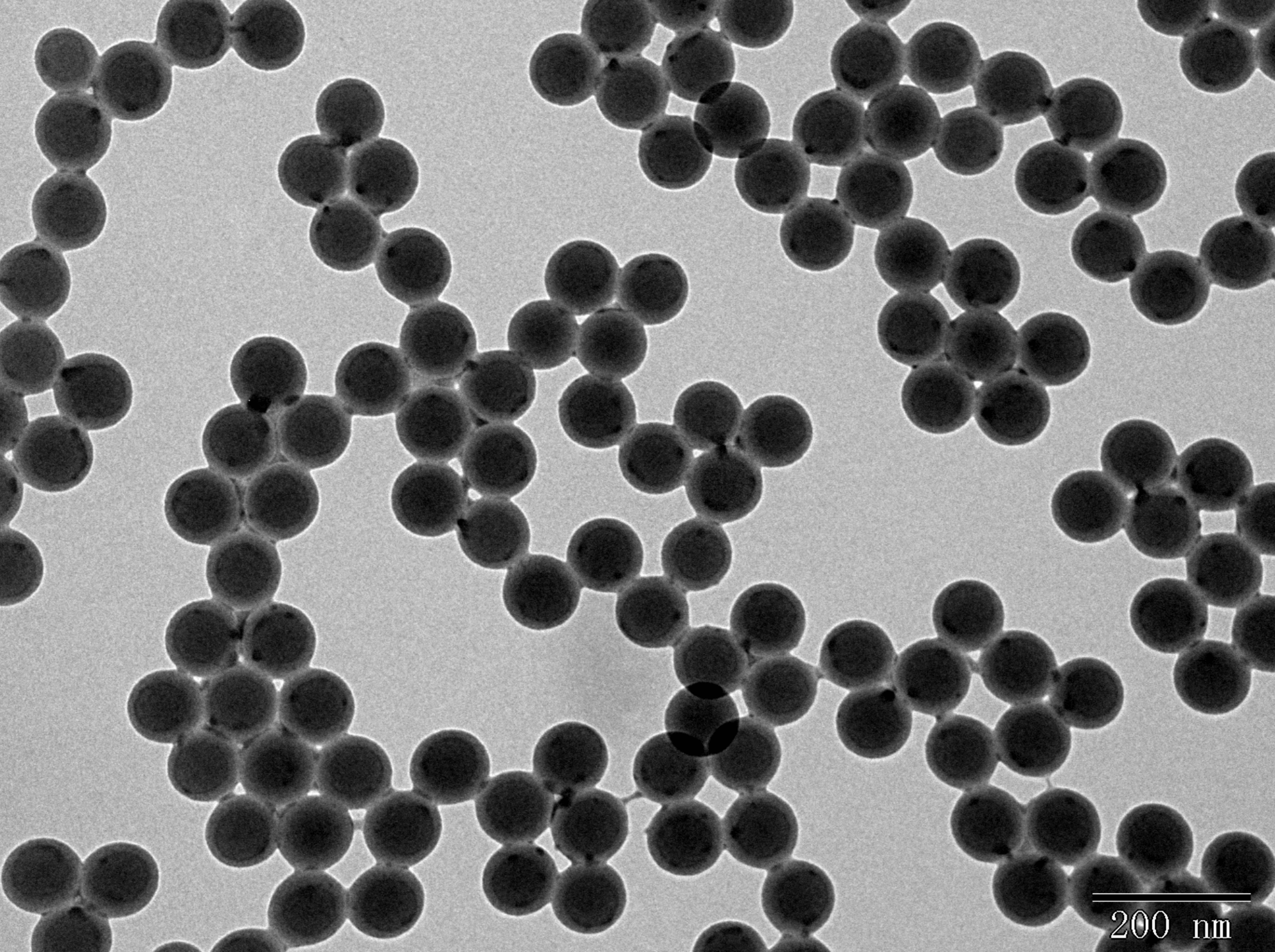 Action of Polystyrene nanoparticles | Must-know tips before starting your research