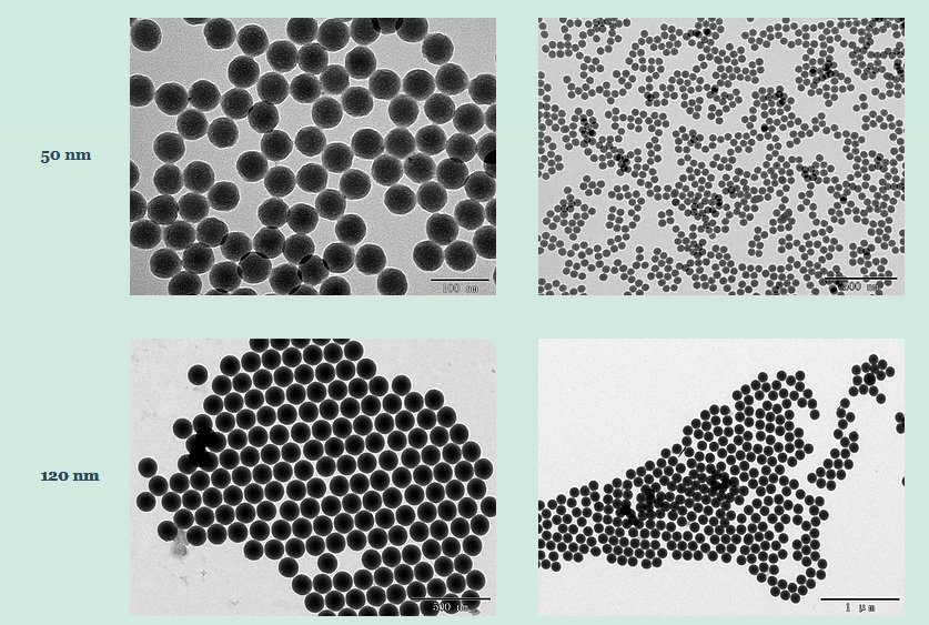Why choose Magnetic Silica Nanoparticles?