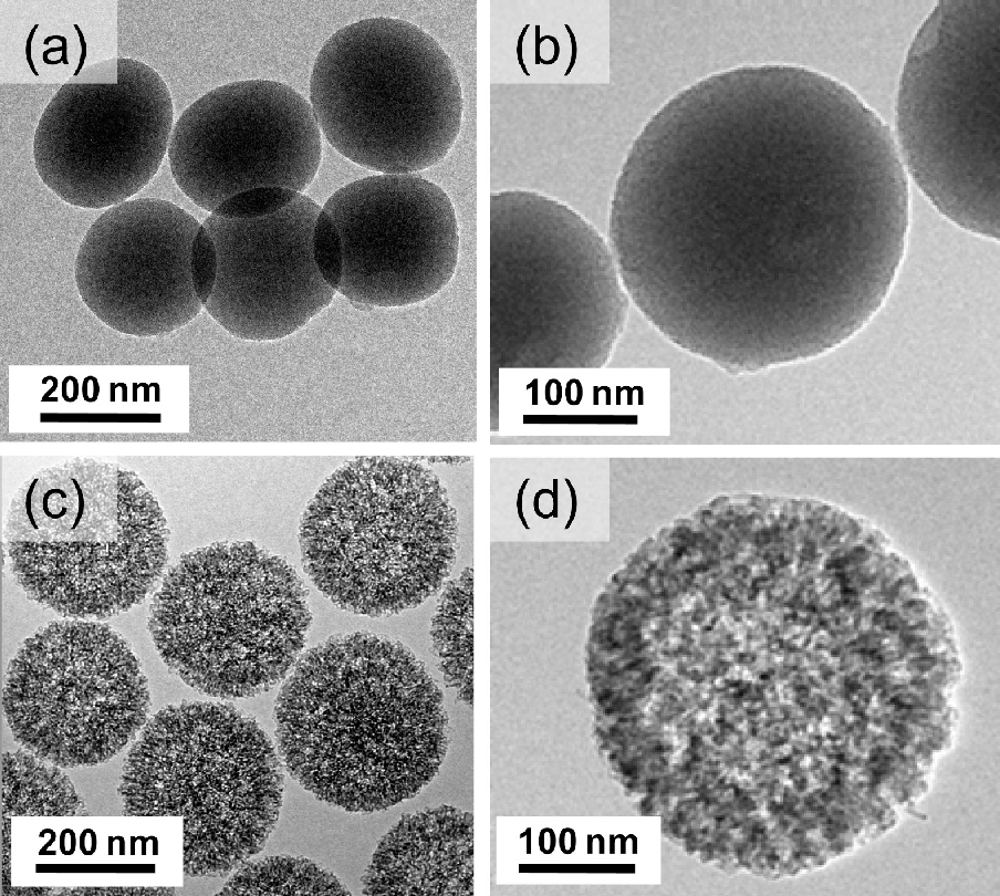 Non-Functionalized Silica Nanoparticles 1μm are Used as Stable Platform for Biomedical Application!