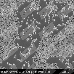 Certain Properties Of Silica Nanopaticles Can Be Manipulated!