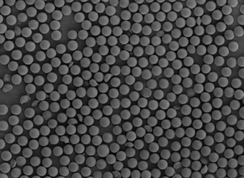 Unveiling the Marvels of Microparticles: A Dive into Non-Functionalized Polystyrene and Carboxyl-Functionalized Magnetic Silica Nanoparticles