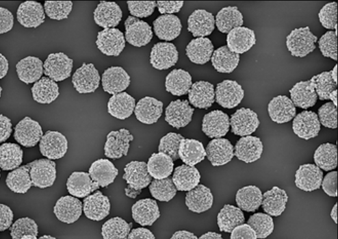 Nano Marvels: Silica Particles and Magnetic Alchemy Transforming Industries