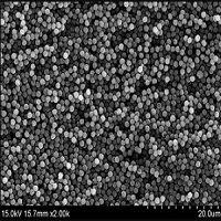 Magnetic Silica Nanoparticles: A Journey into Nano-scale Engineering