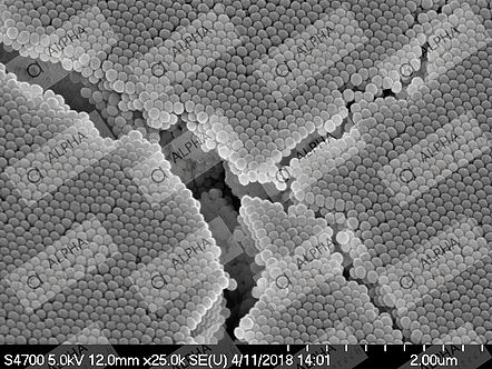 All About The Effectiveness Of Non-Functionalized Silica Nanoparticles 1µm