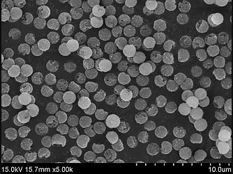 Harnessing the Potential: Amine-Terminated Magnetic Silica Beads and Magnetic Silica Nanoparticles in Biomedical Applications