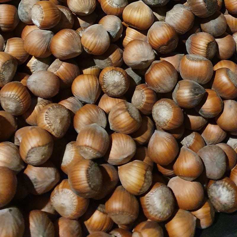 Roasted Hazelnuts Garlic Kingdom Australia