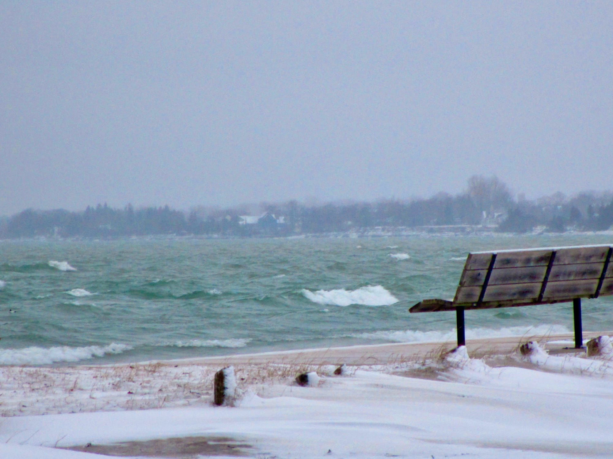 Blustery beachside