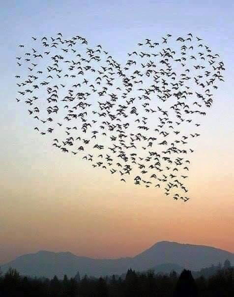 Liefde in de lucht