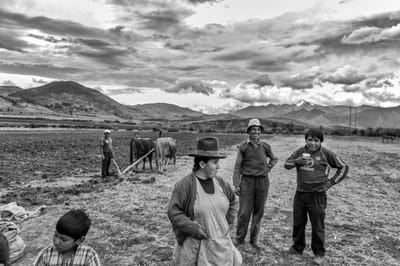 THE SUNLESS FLOWERS OF PERU image