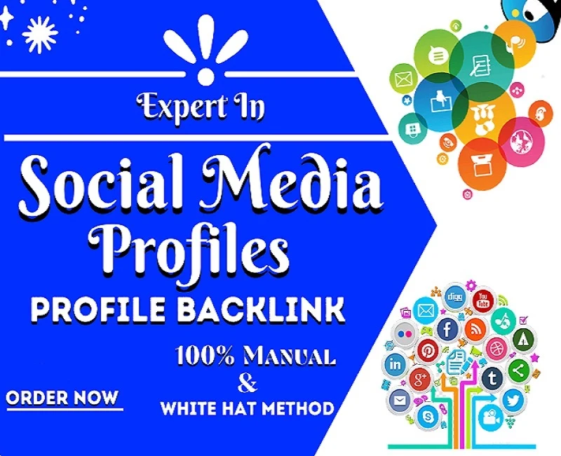 I will do 300 social media profile SEO backlinks for your website