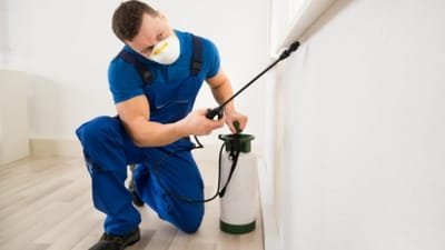 All about Impressive Pest Control image