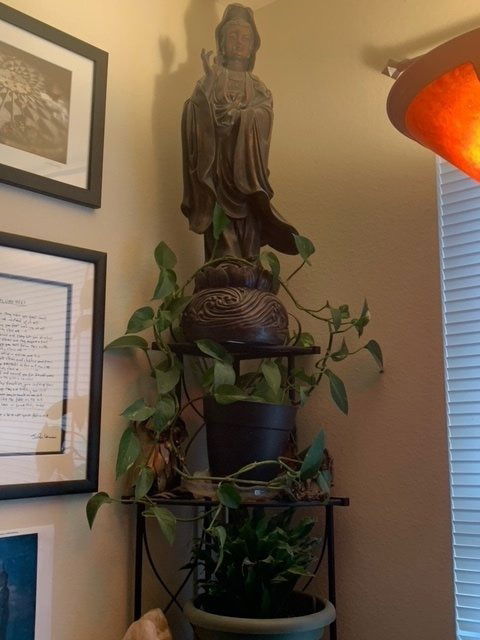 Guan Yin Watches Over