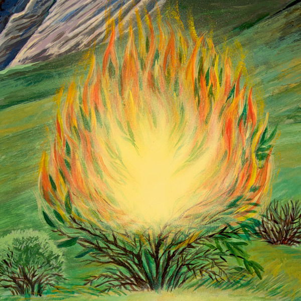 Burning Bushes