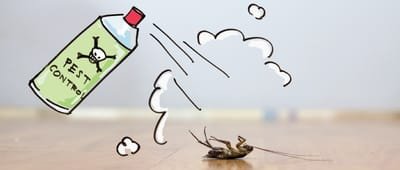 Pest Control Brisbane Exterminator image