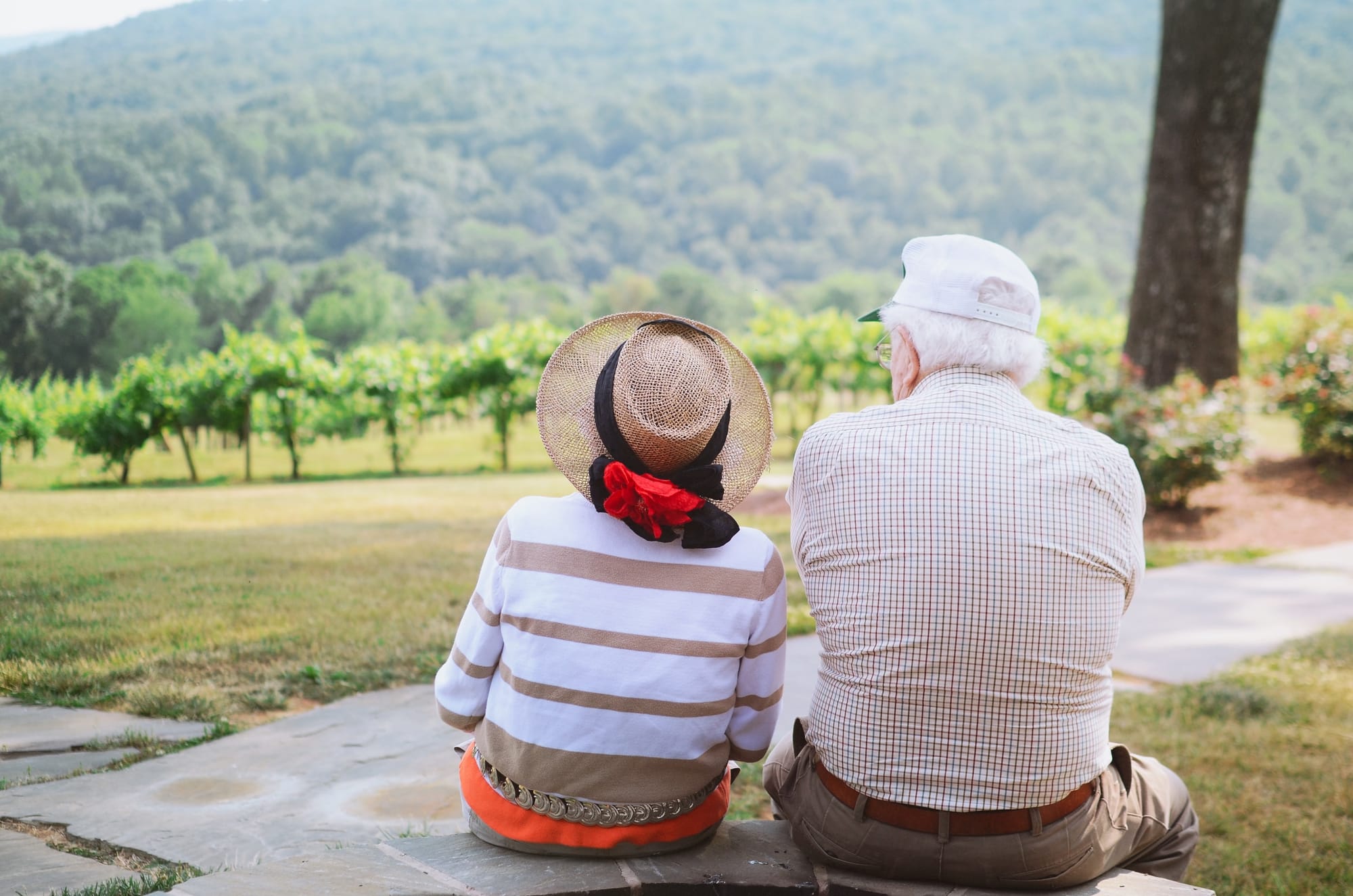 Aging In Place
