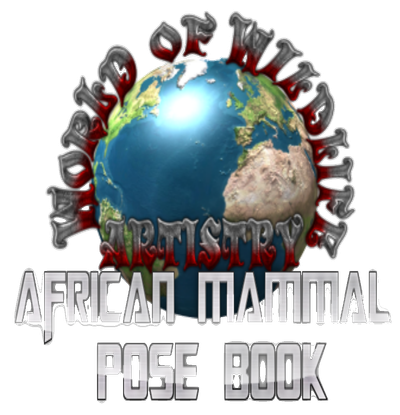 African Mammal Pose Book