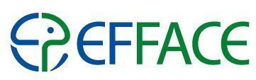 EFFACE - European Union Action to Fight Environmental Crime