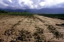 ° Potentially catastrophic climate impacts on food production over the long-term