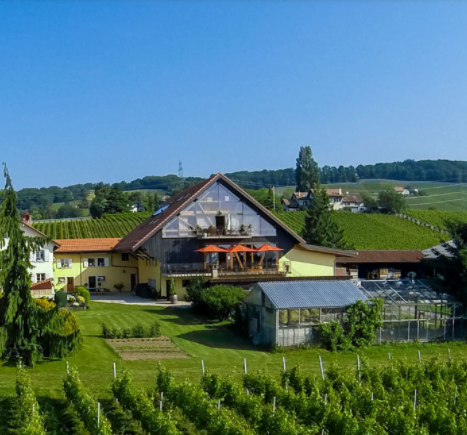 Domaine La Capitaine