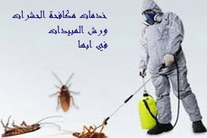شركة مكافحة حشرات بابها (للايجار) رش مبيدات الصراصير البق النمل