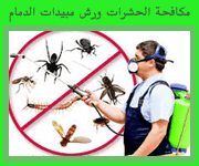 شركة مكافحة حشرات بالدمام 0559290599 رش مبيدات الصراصير النمل البق