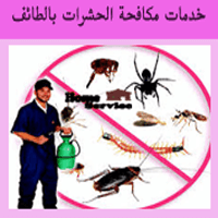 شركة مكافحة حشرات بالطائف (للايجار) رش مبيدات الصراصير النمل البق