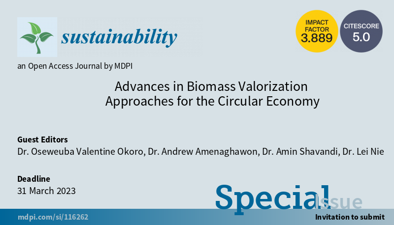 Special Issue Call -Sustainability MDPI
