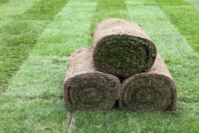 Ways of Finding the Best Sod image