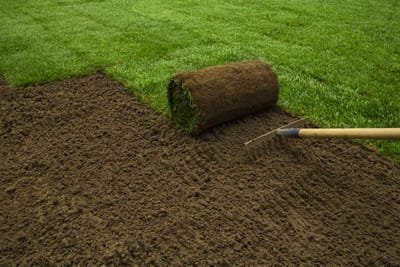 Tips for Finding the Best Sod Supplier in Tampa image