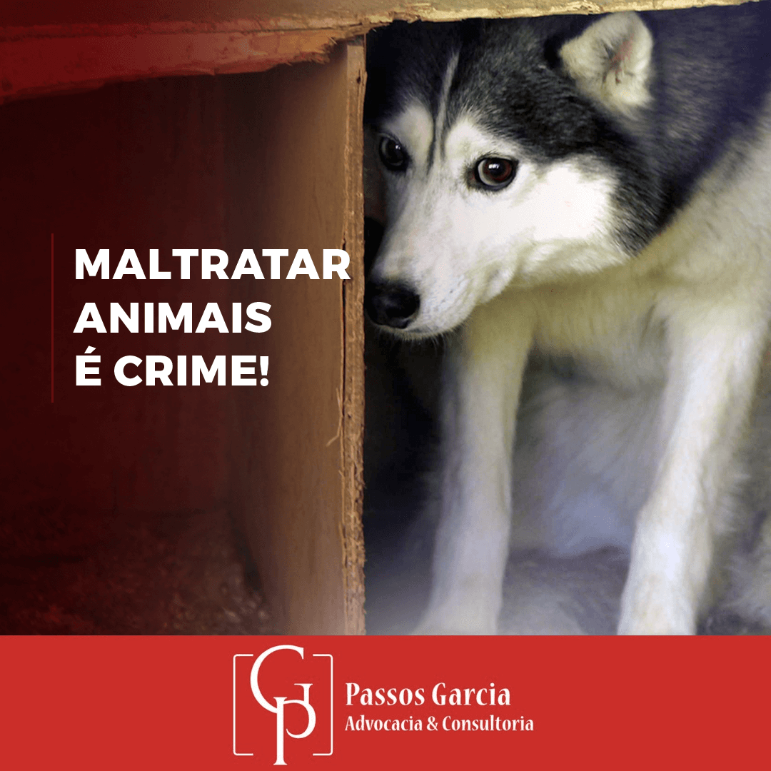 Maltratar animais é crime!
