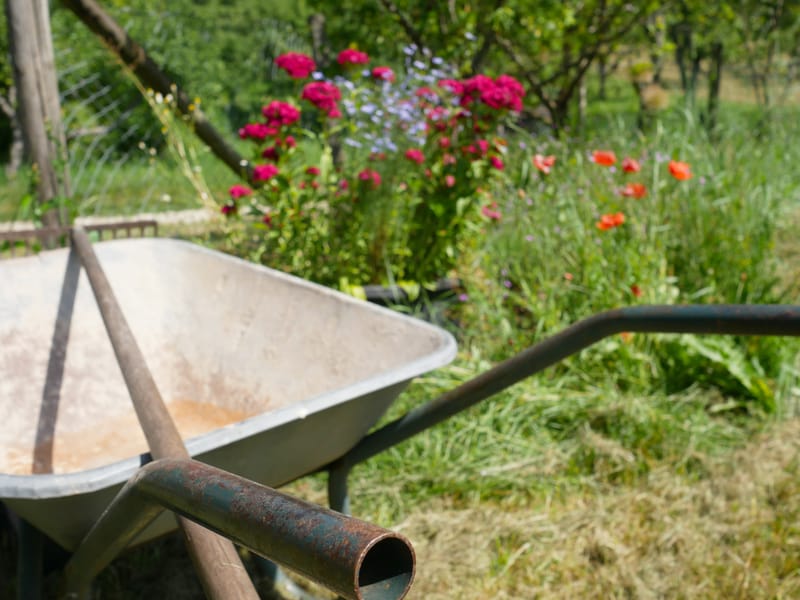 Trimming and Maintenance of Bushes and Shrubbery