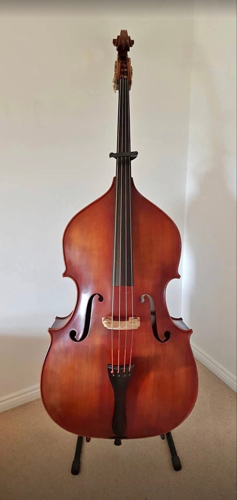 Double Bass lessons for beginners