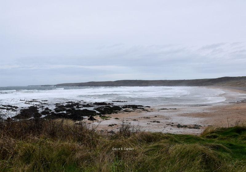 Freshwater West in Pembrokeshire