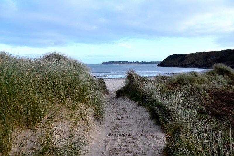 Sand dunes at Penally