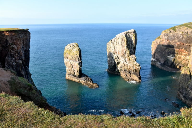 Elegug Stack rocks in Pembrokeshire