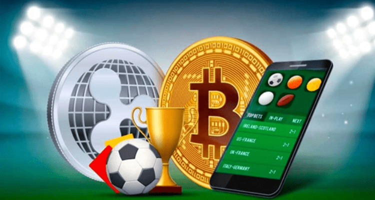 From Casual Punter to Professional Bettor: The Journey Unveiled