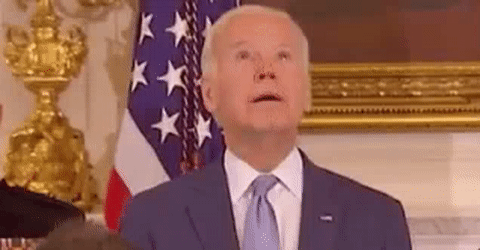 How stupid is this? Biden wants Social media to police the internet???????